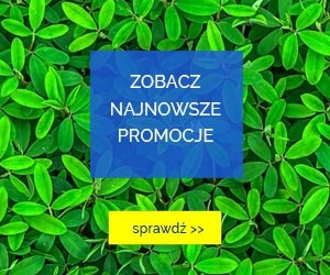  biedronka zielone liście